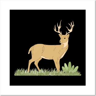 Deer Posters and Art